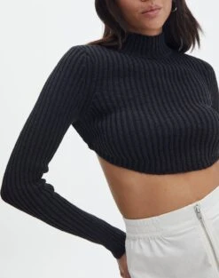 Cropped High Neck Backless Long Sleeve Knit Top -Glassons bearman backless funnel top black imageback kl111146knt