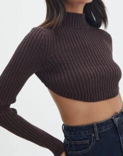 Cropped High Neck Backless Long Sleeve Knit Top -Glassons bearman backless funnel top its soy cute imageback kl111146knt