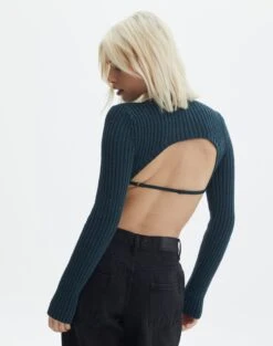 Cropped High Neck Backless Long Sleeve Knit Top -Glassons bearman backless funnel top ivy league back kl111146knt