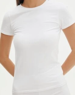 Cotton Fitted Tee -Glassons cancun cotton tee white imageback ts121963cot