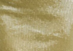 Sequin Mini Skirt -Glassons co ken sequins mini skirt wassa bae imagefront ss141044sqn