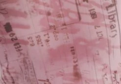 Print Mesh Lettuce Trim Cropped Cami -Glassons co sabrina mesh cami baby doll script imagefront tv54660rprt