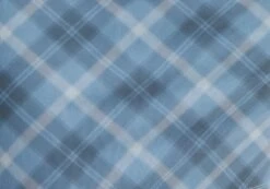 Printed Mini Mesh Dress 27 Printed Mini Mesh Dress -Glassons delica mini mesh bubble check imagefront ds128708rchk