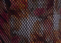 Strapless Fishnet Corset Top -Glassons freya fishnet corset fuschia clash imagefront tv104708fcc