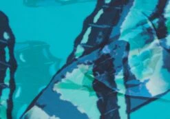 Printed Bandeau Gold Detailed Swim Top -Glassons harvey hardwear bandaue mystic butterflies imagefront ga128328rmsb