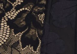 Lace Hook & Eye Front Corset Top -Glassons inka corset top blacknude imagefront ut111638lac