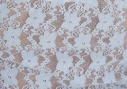 Off Shoulder Lace Long Sleeve Top -Glassons lexi longsleeve lace top icecap imagefront tl116985lac