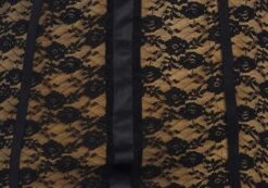 Lace Cupped Mini Dress 13 Lace Cupped Mini Dress -Glassons maeve mesh mini dress blacknude imagefront ds92784lce