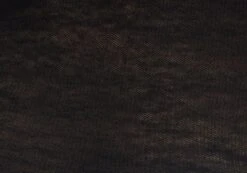 Sheer Backless Long Sleeve Crop Top -Glassons mila underwire super crop black imagefront tl112008msh