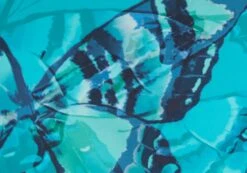 Printed Thong Bikini Bottom 26 Printed Thong Bikini Bottom -Glassons r zimi high waist thong mystic butterflies imagefront ga63412rmsb