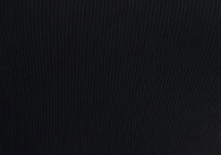 Rib High Neck Bodysuit -Glassons raro razor ribbed bodysuit black imagefront tb116787vis