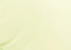 Triangle Padded Shimmer Halter Bikini Top -Glassons tropic padded tri bikini top lime splice imagefront ga55358shm