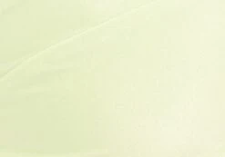 Shimmer Thong Bikini Bottom -Glassons zimi high waist thong lime splice imagefront ga63412shm